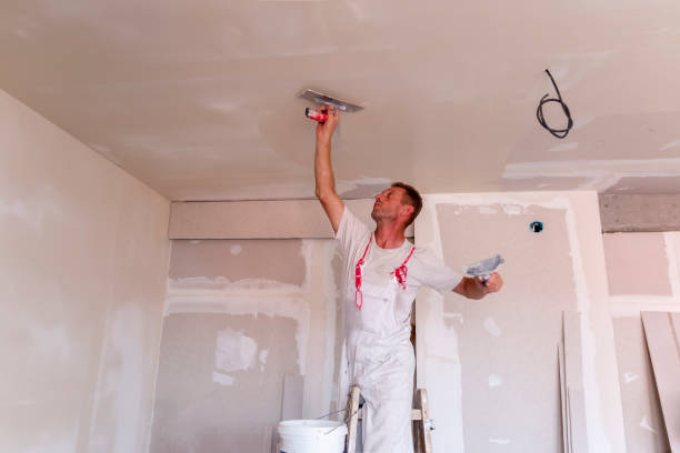 Best Painting for New Construction  in Deerwood, TX